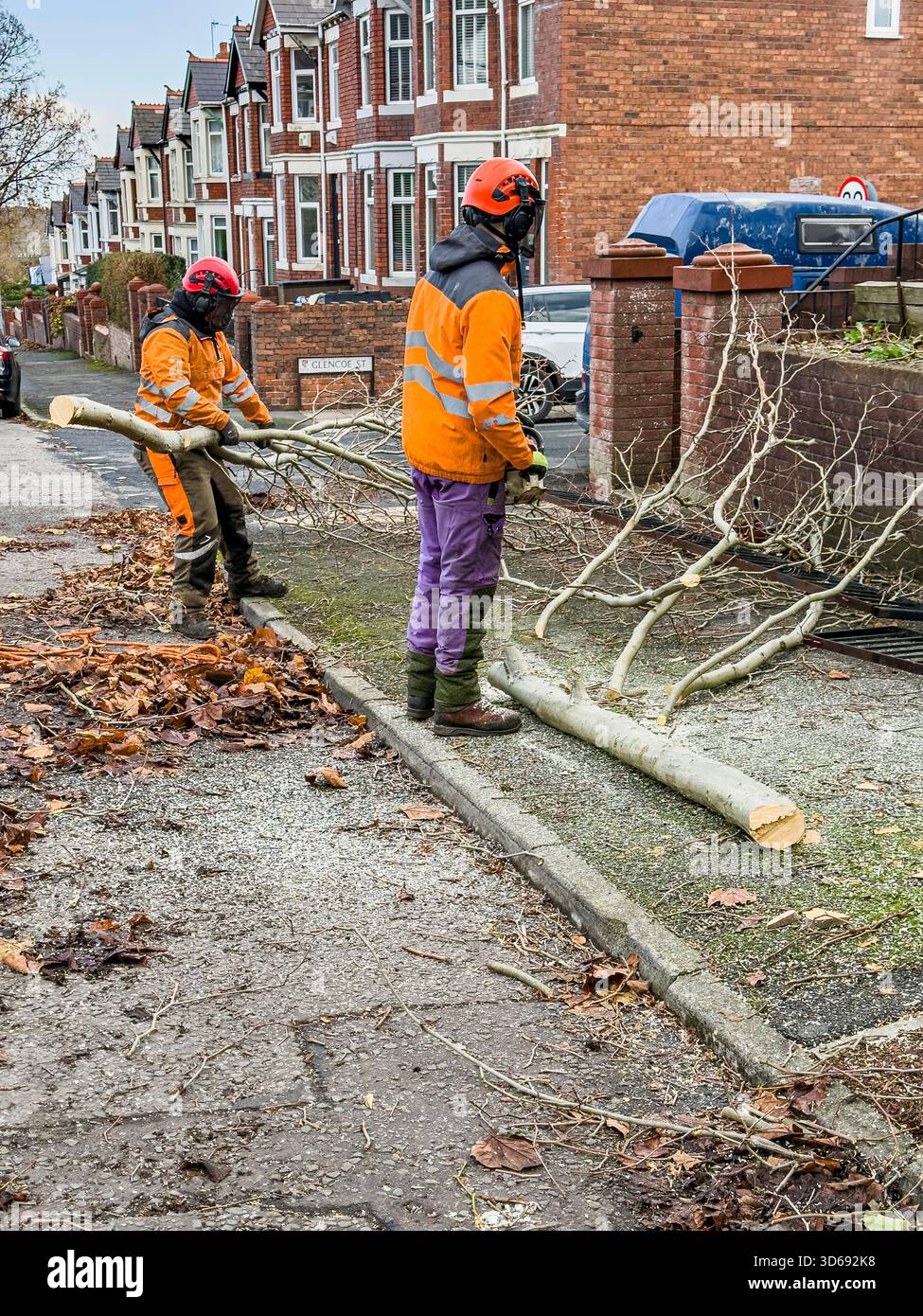 Maintenance of Roadside Trees by Local Authority Workers Along Urban Street, South Wales, UK: Phillip Roberts - Smartphone Captured Stock Image