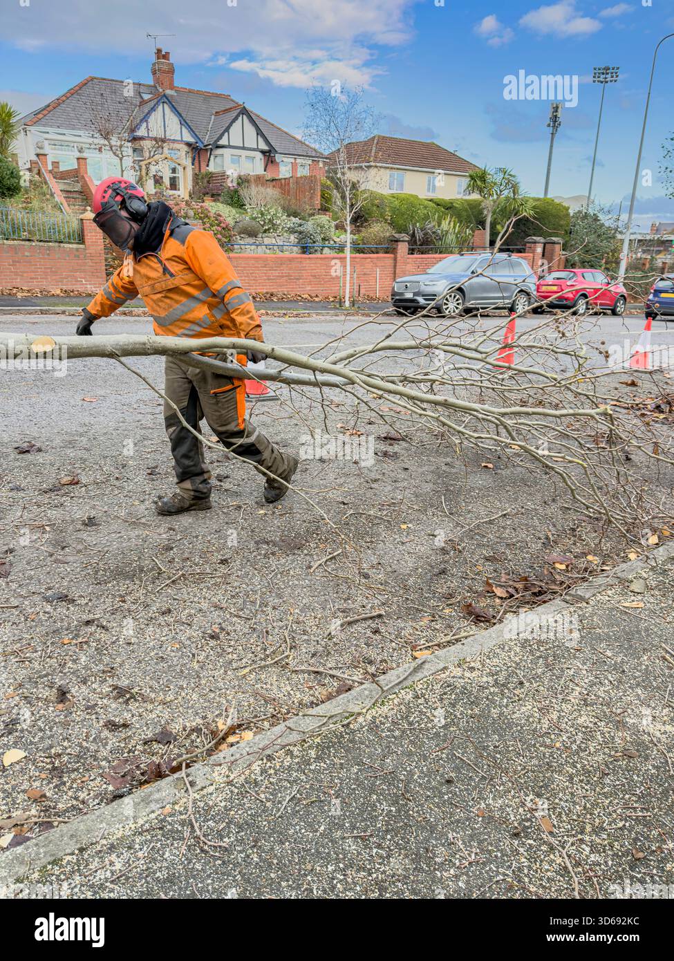 Maintenance of Roadside Trees by Local Authority Workers Along Urban Street, South Wales, UK: Phillip Roberts - Smartphone Captured Stock Image