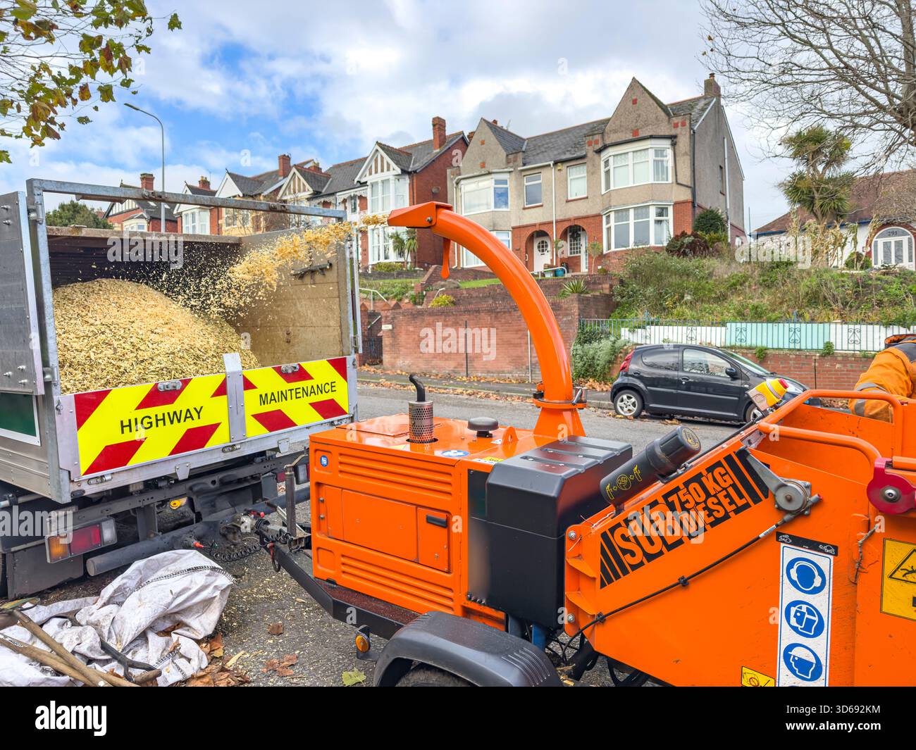Tree Chipper Processing Branches During Roadside Arboricultural Work, South Wales, UK: Phillip Roberts - Smartphone Captured Stock Image