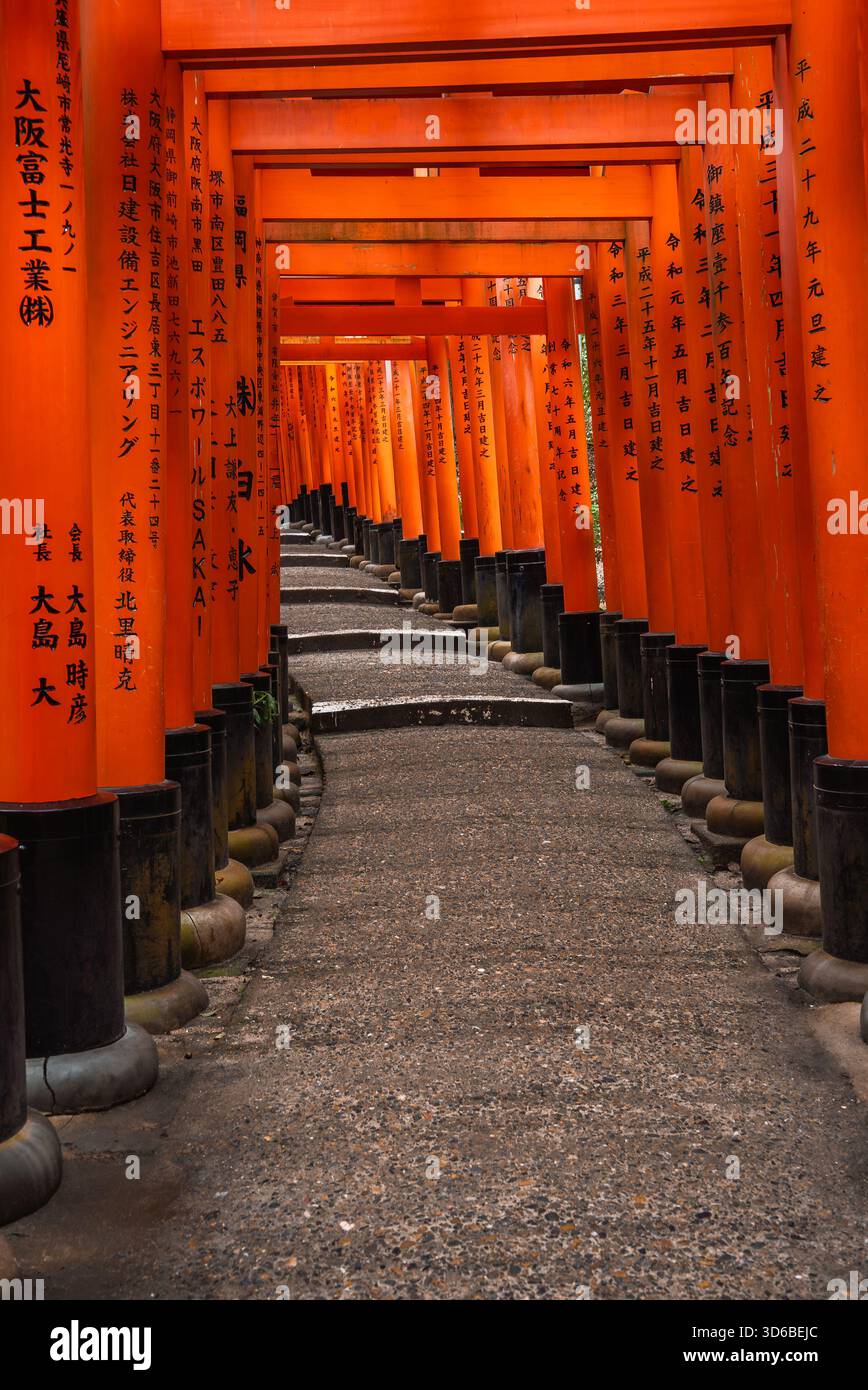 Senbon Torii at Fushimi Inari Taisha, low centered view in Kyoto Stock Photo