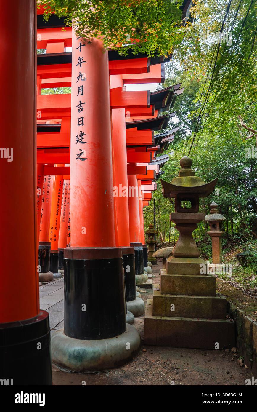 Torii walkway at Senbon Torii, Fushimi Inari Shrine in Kyoto, Japan ...