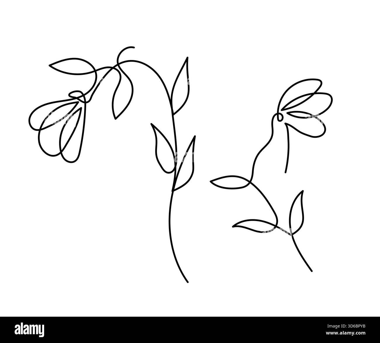 Single line art vector flower illustration collection Stock Vector ...