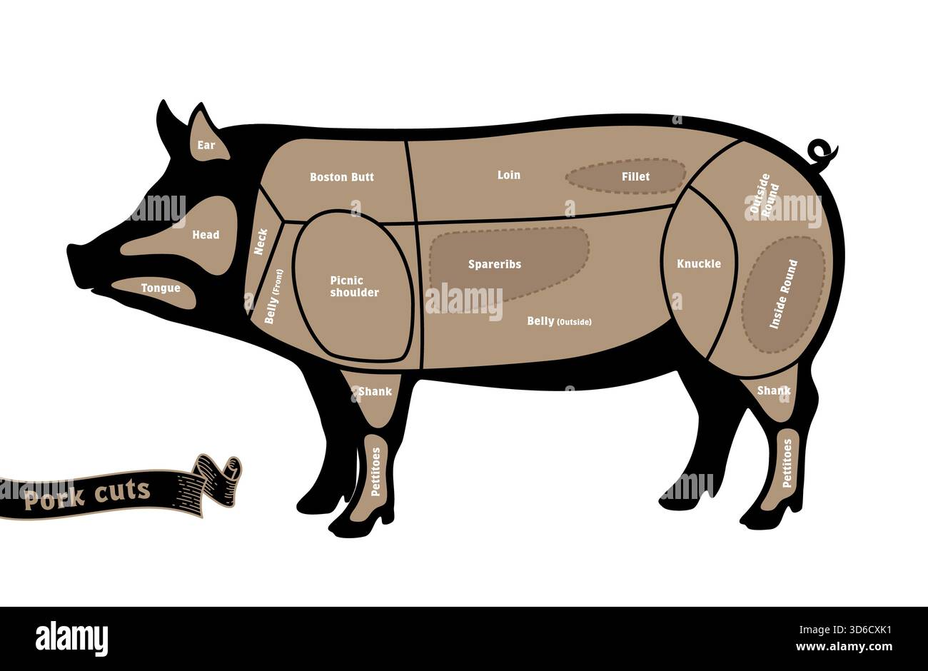Pig meat cuts illustration hi-res stock photography and images - Alamy