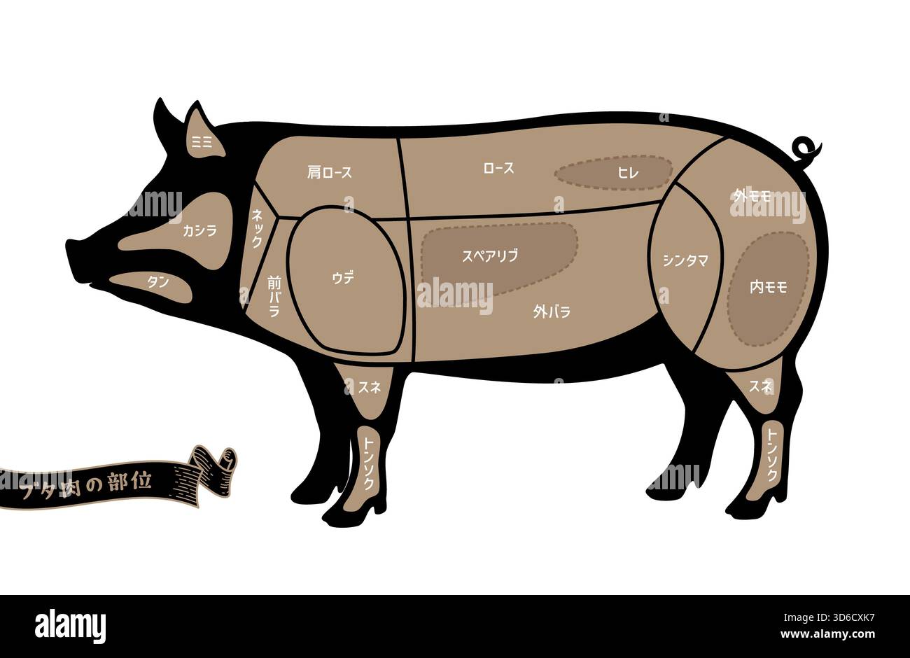 Pig meat cuts illustration hi-res stock photography and images - Alamy