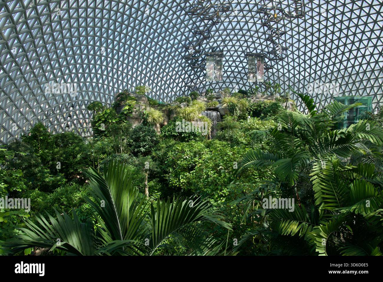 Dense foliage surrounds hi-res stock photography and images - Alamy