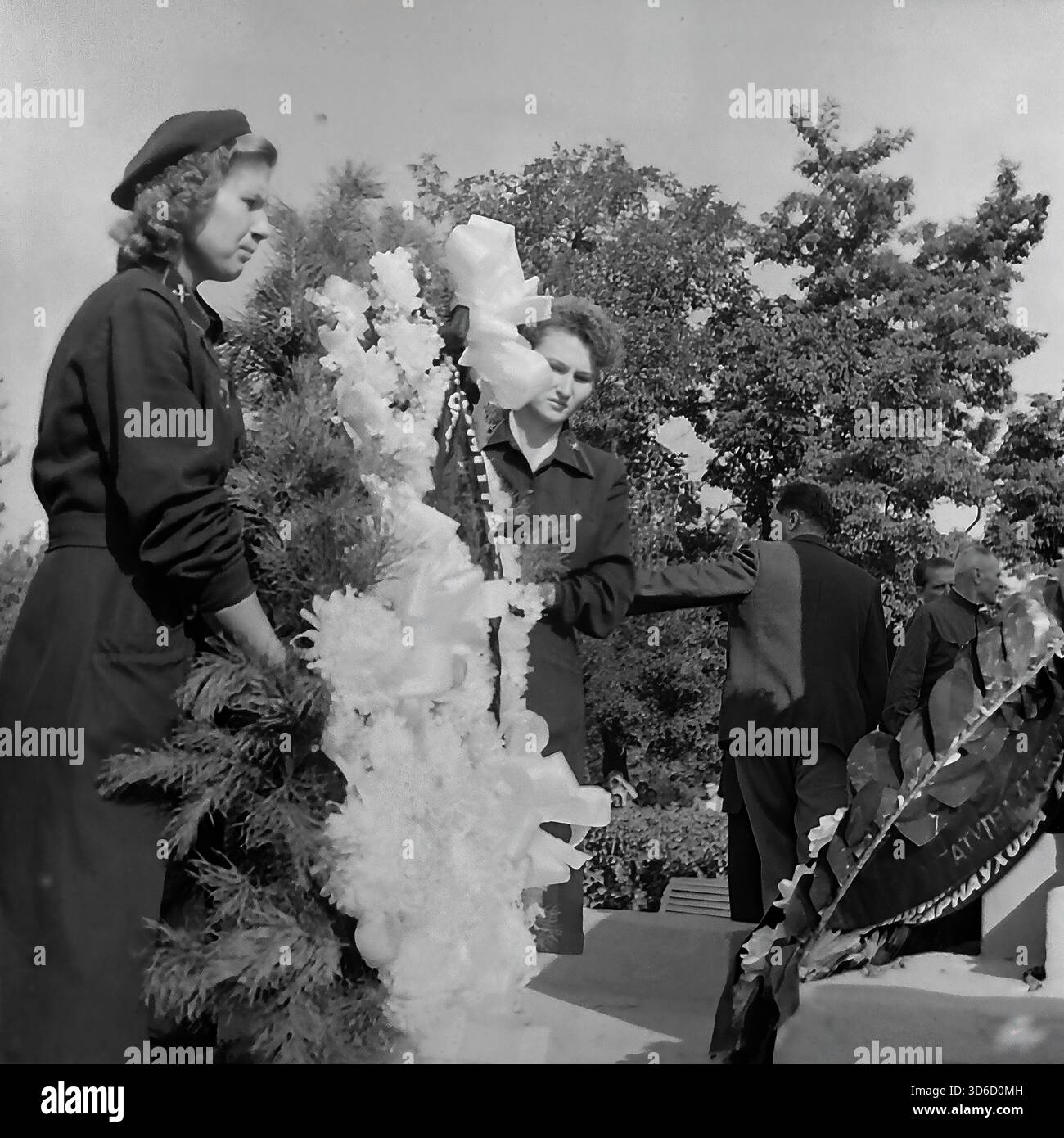 DRAA FP Design 5 Final, image size:1300x1390