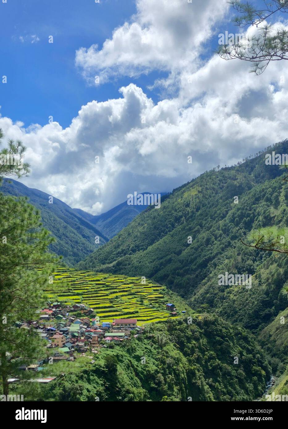 Bayyo Rice Terraces, Bontoc, Mountain Province, Philippines. - Smartphone Captured Stock Image