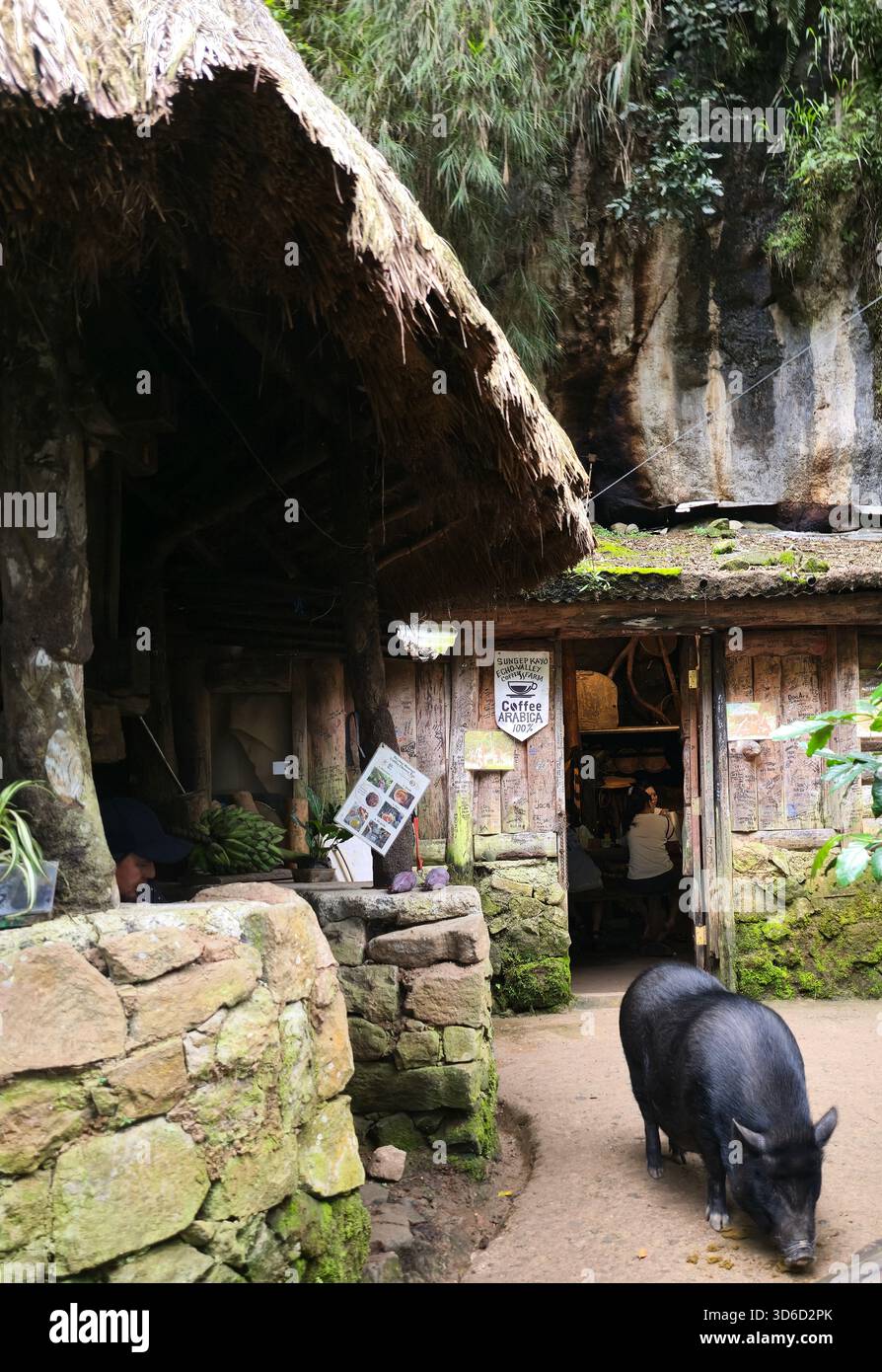 The Echo Valley Farm café in Sagada, Philippines. - Smartphone Captured Stock Image