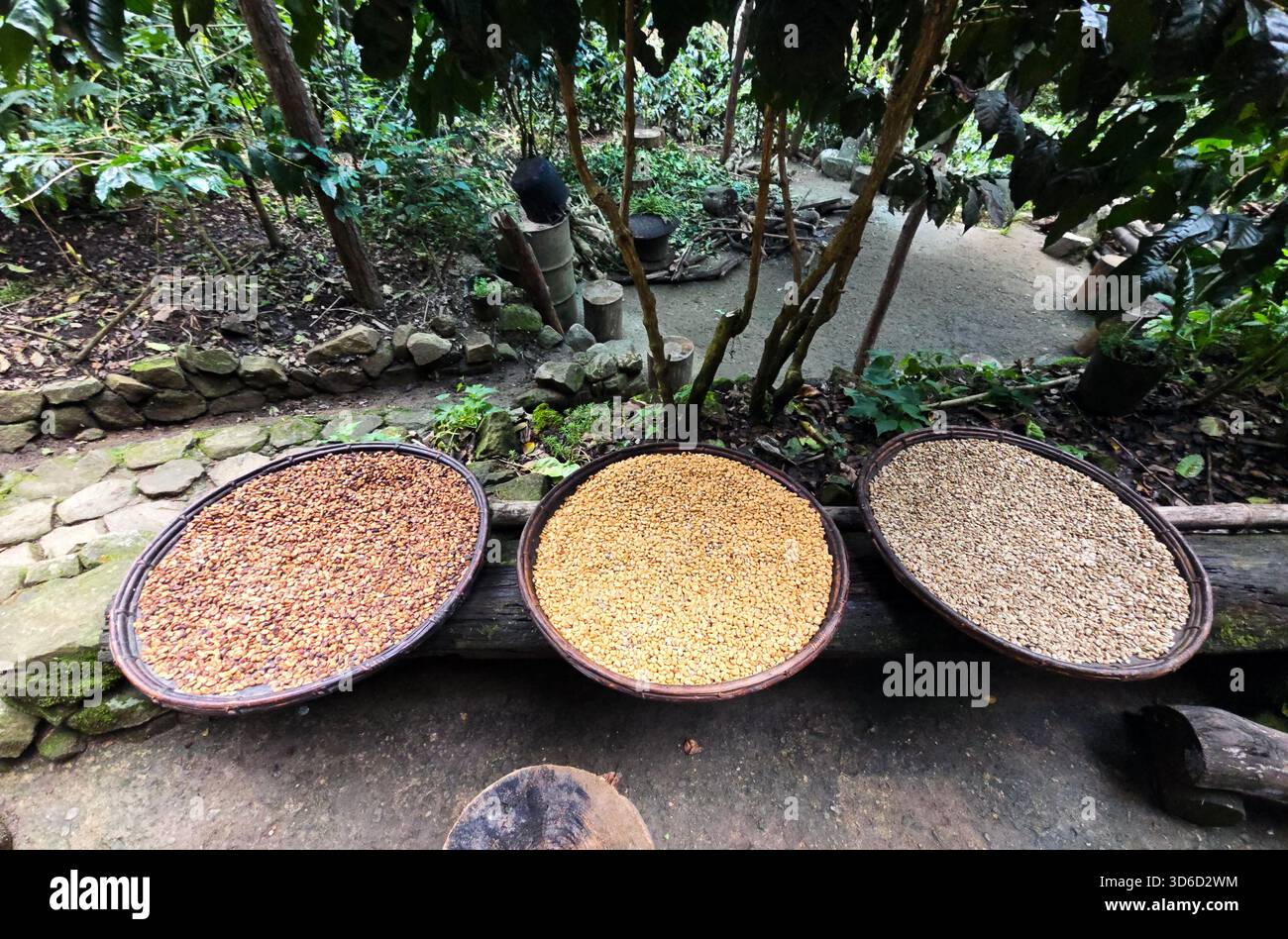 The Echo Valley Farm café in Sagada, Philippines. - Smartphone Captured Stock Image