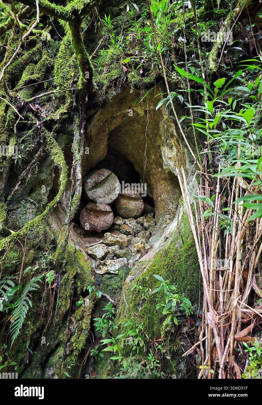 Coffins in caves at Echo Valley, Sagada, Mountain Province, Luzon, Philippines. - Smartphone Captured Stock Image