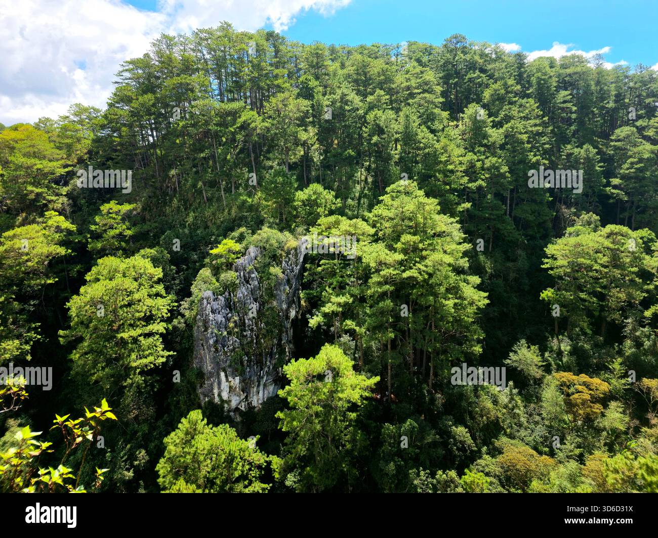 Beautiful limestone cliffs along Echo Valley in Sagada, Philippines. - Smartphone Captured Stock Image