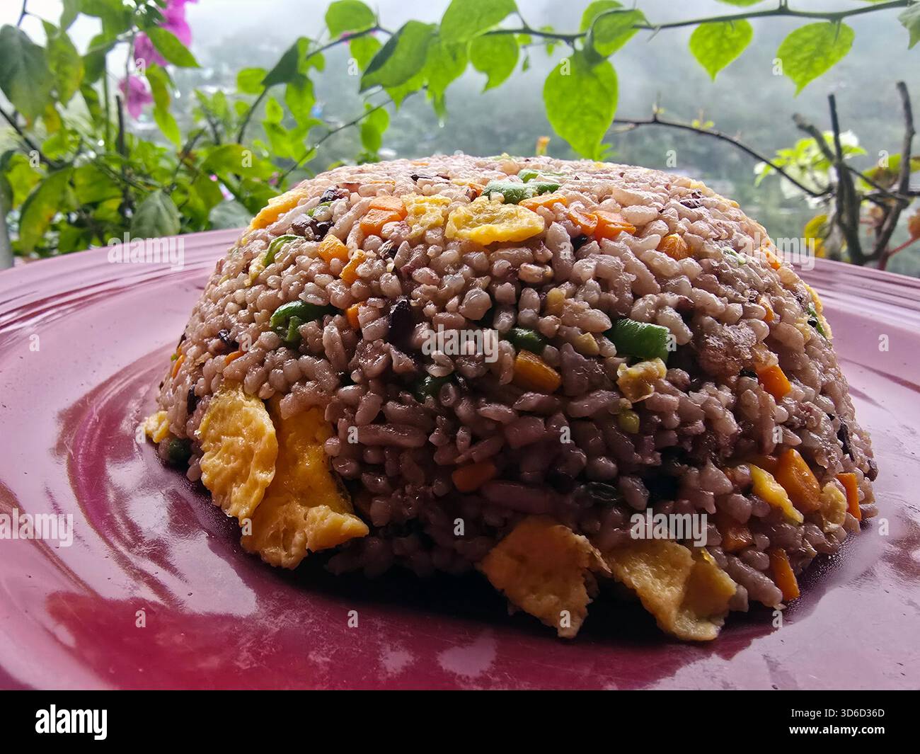 Fried Rice made with Banaue rice. Banaue, Mountain Province, Philippines. - Smartphone Captured Stock Image