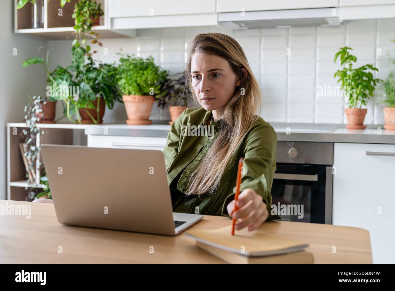 Serious middle aged woman planning family budget, working on laptop, analyzing income and loans. Stock Photo