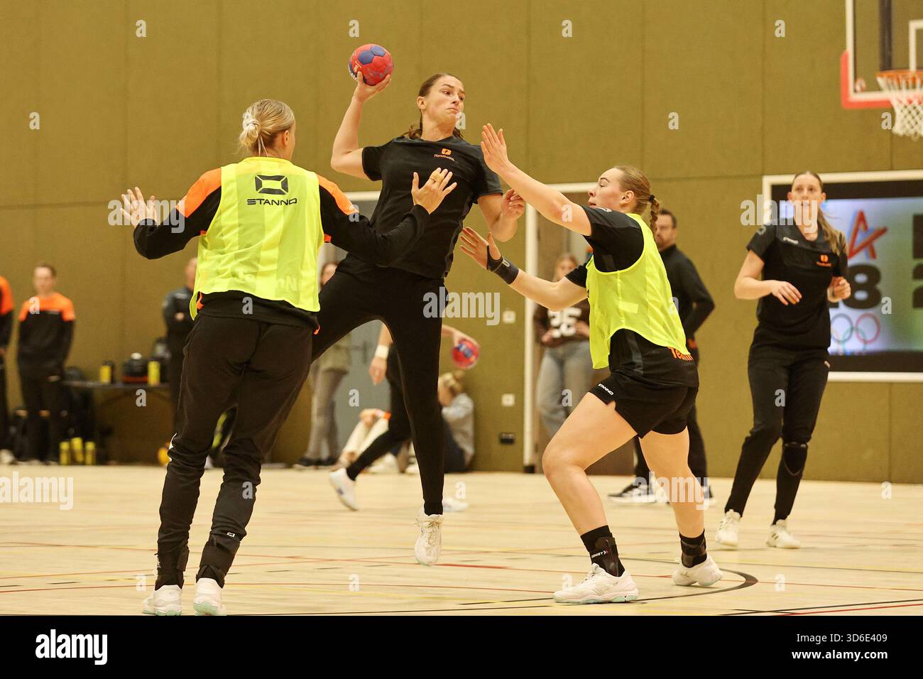 Context of the Egyptian Handball League