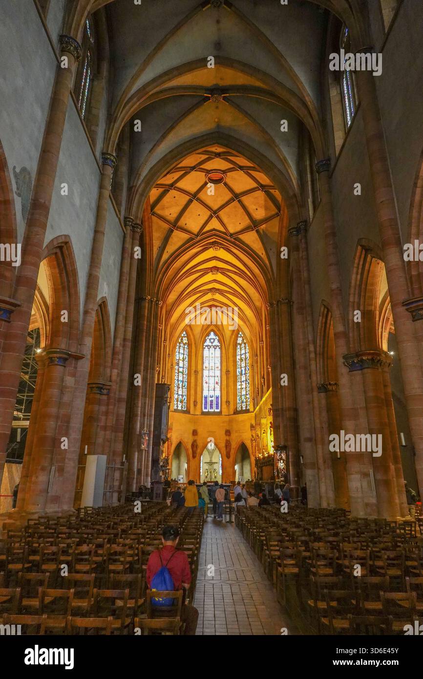 France, Alsace region, Colmar, St Martins church or Eglise Saint-Martin ...