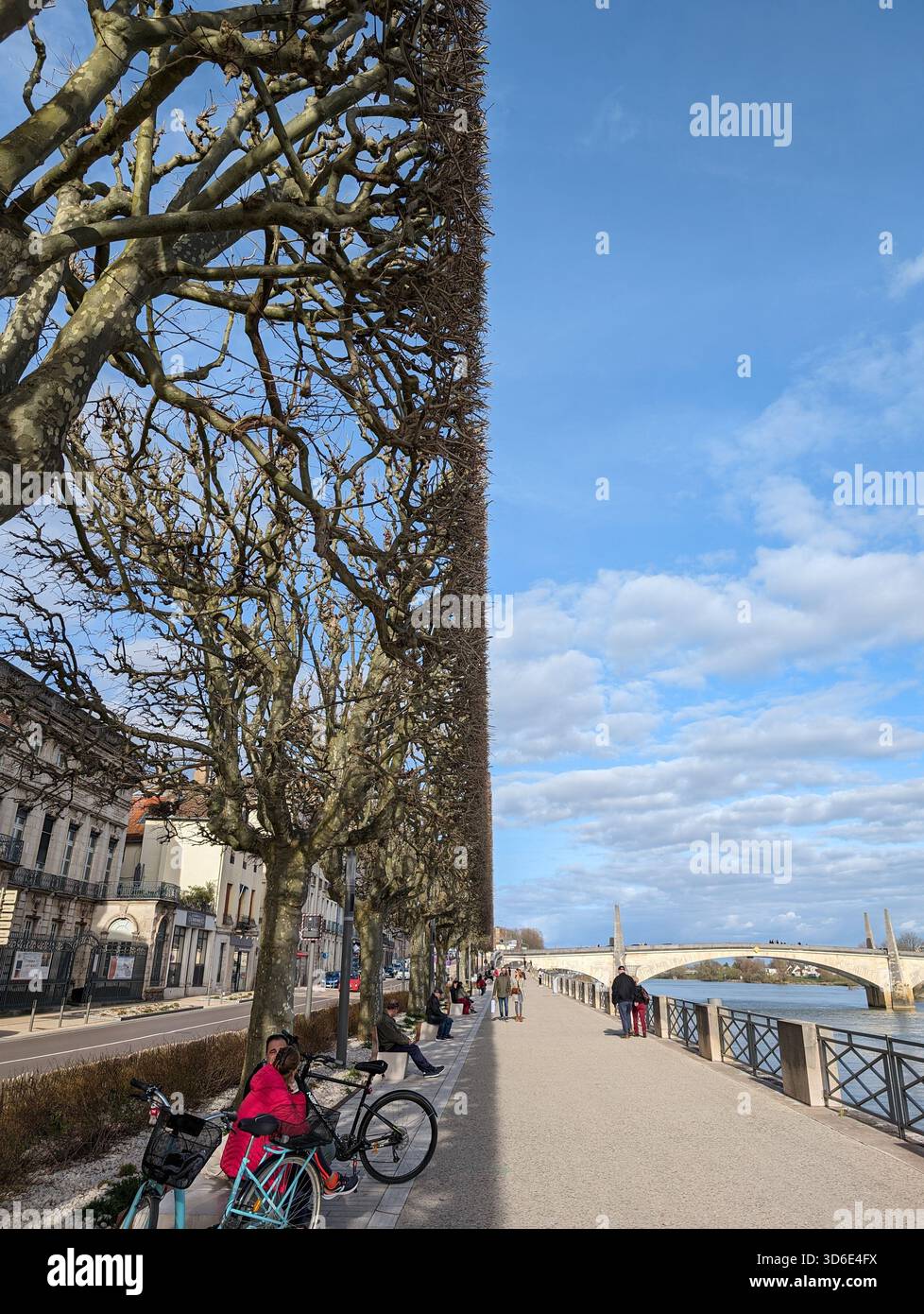 When nature meets geometry @ Chalon sur Saône - Smartphone Captured Stock Image