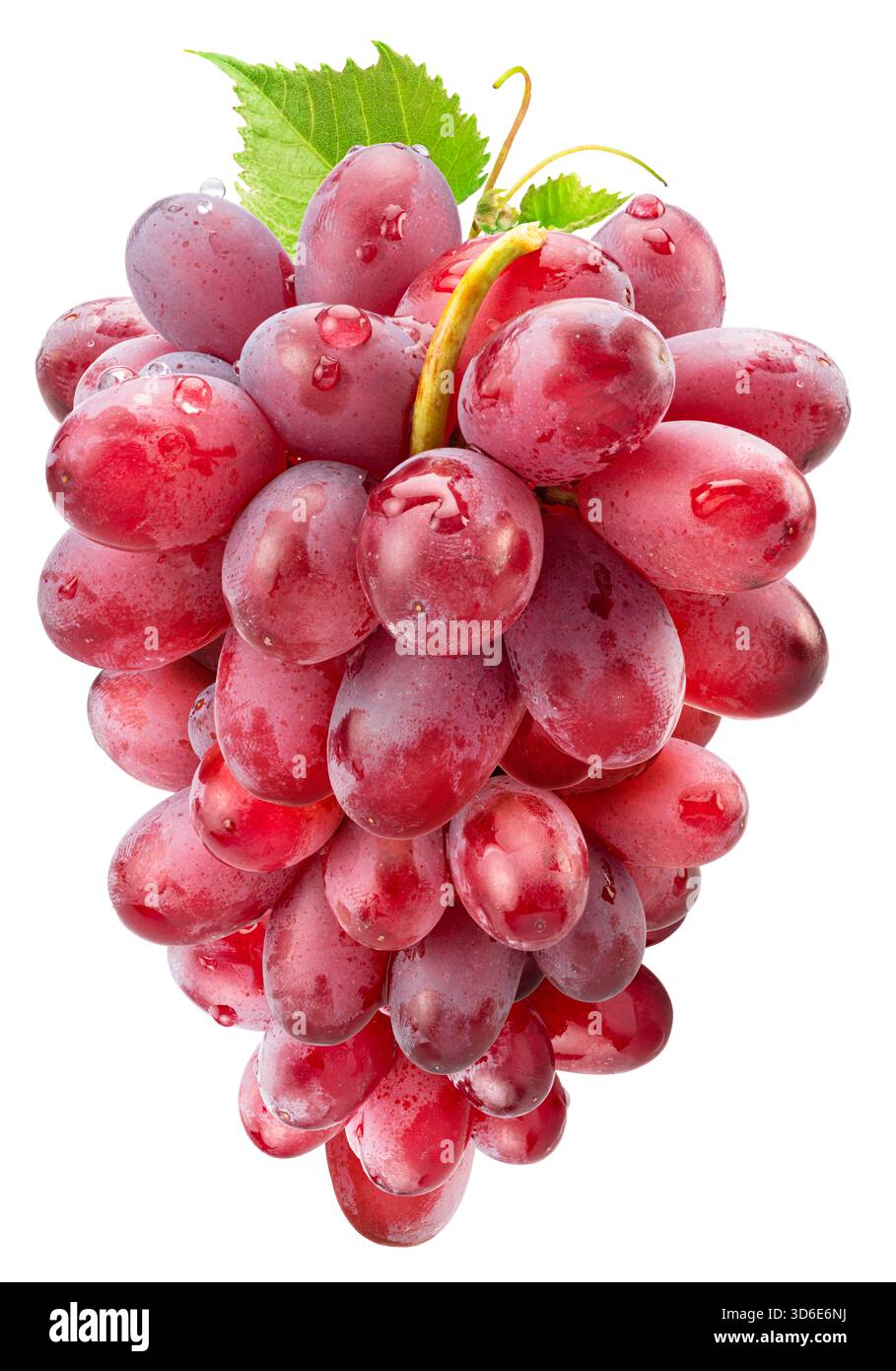Table Grape Bunch Ripe Bunch of ripe red table grape berries with green grape leaves isolated ...