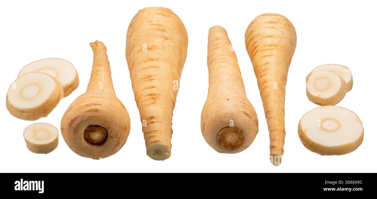 Parsnip roots and parsnip slices isolated on white background. File ...