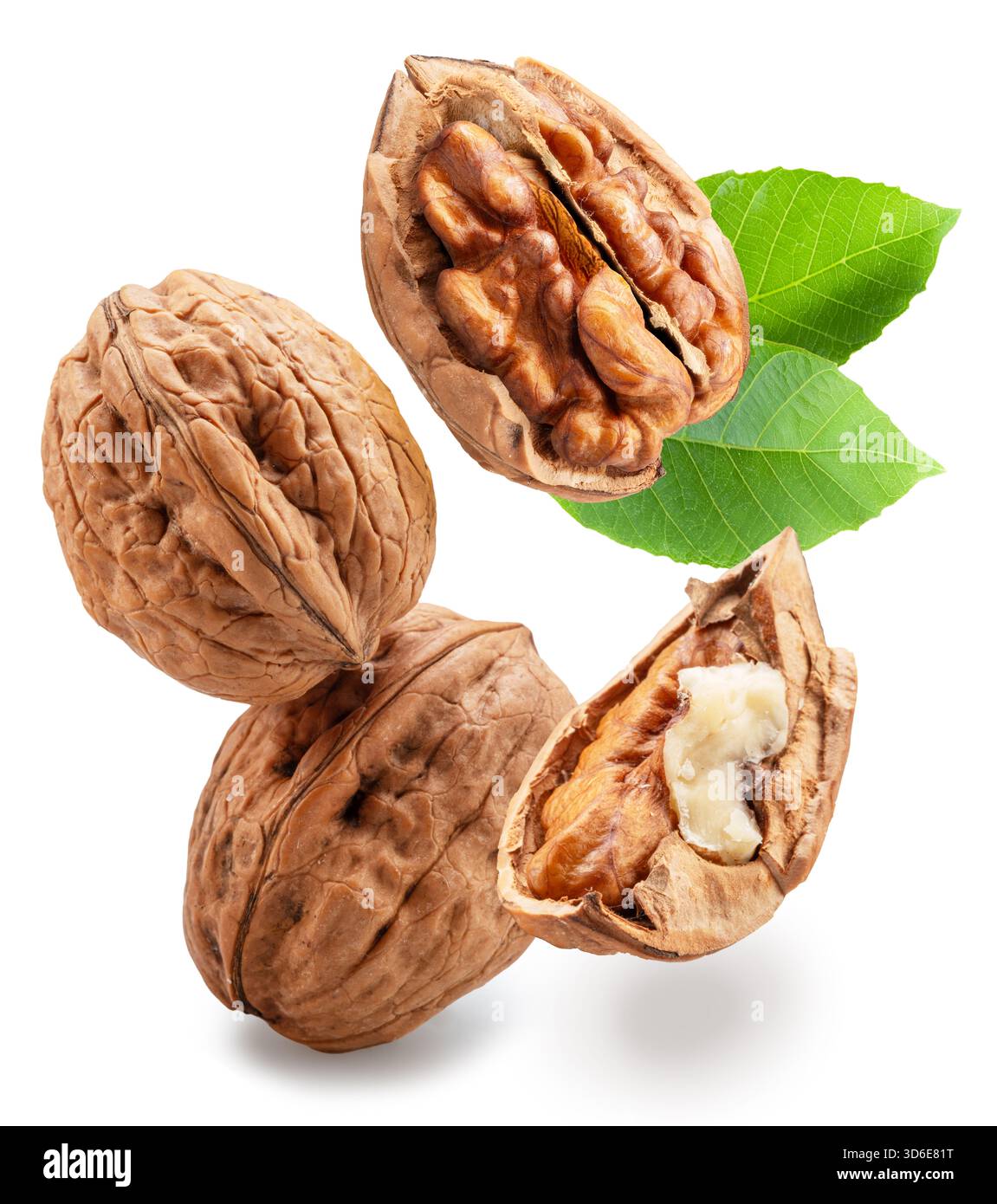 Whole walnuts and split walnut with kernel inside it isolated on white background. Clipping paths. Stock Photo