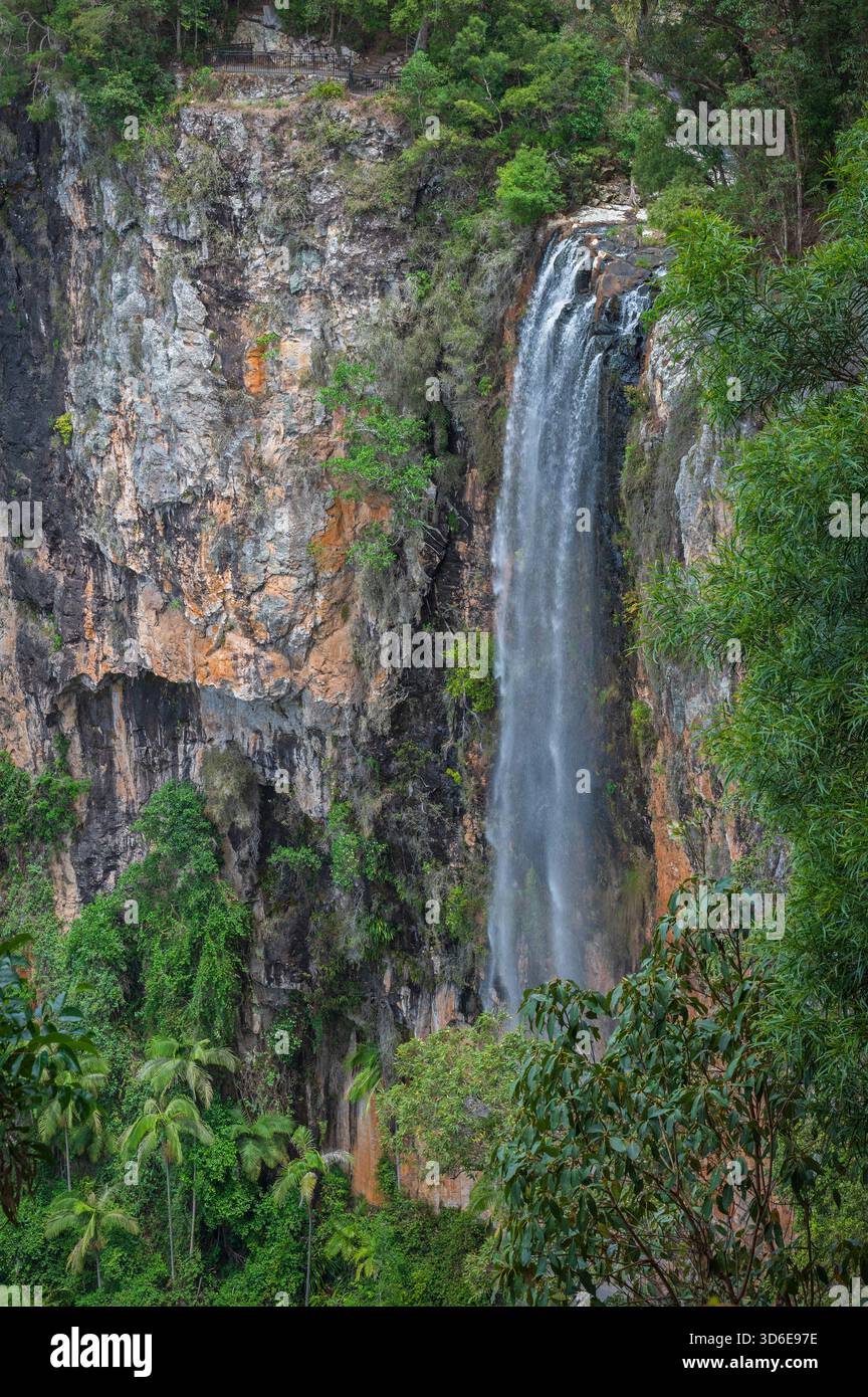 Springbrook Waterfall Purling hi-res stock photography and images - Alamy