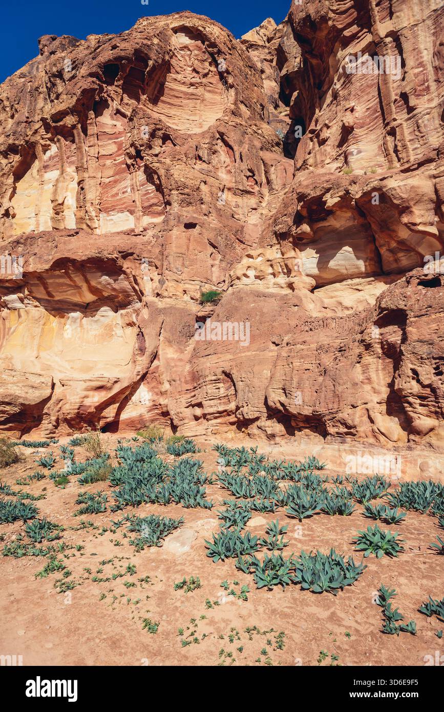 City of the nabataeans hi-res stock photography and images - Alamy