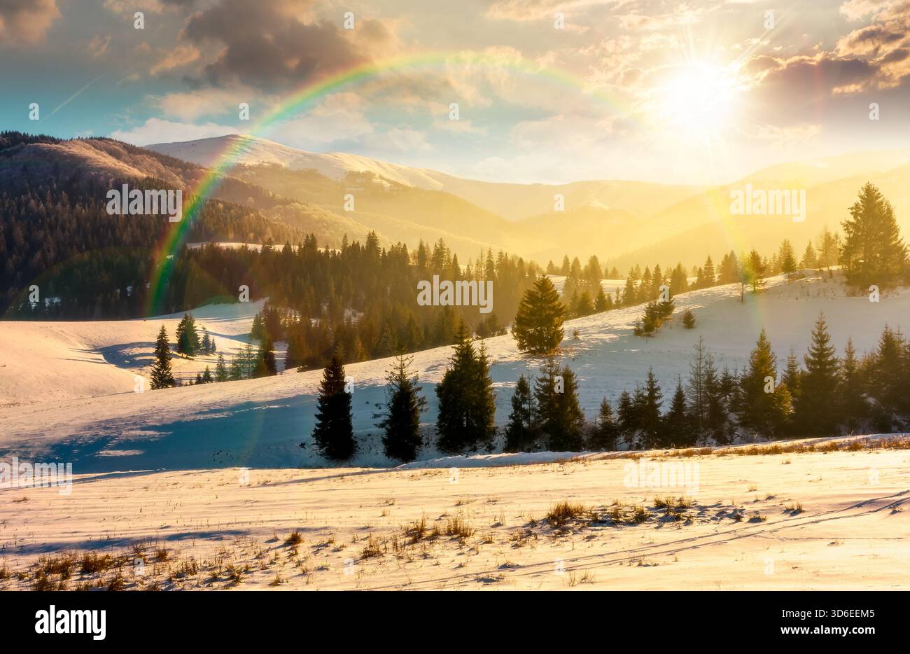 spruce forest on snowy hills at sunset. gorgeous winter landscape in mountains in evening light. storytelling cinematic image under the rainbow Stock Photo