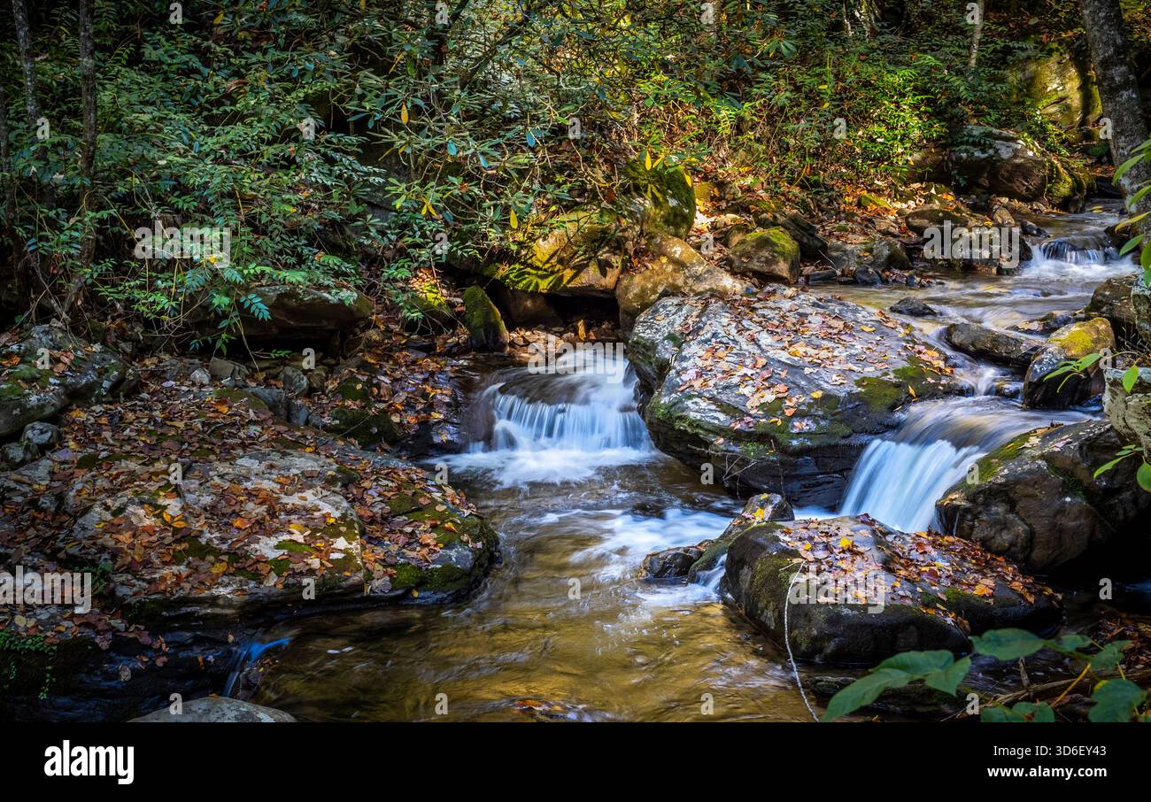 Smith Creek along the Anna Ruby Falls Trail in the  Chattahoochee-Oconee National Forest in the northeast mountains of Georgia near Helen Georgia USA Stock Photo