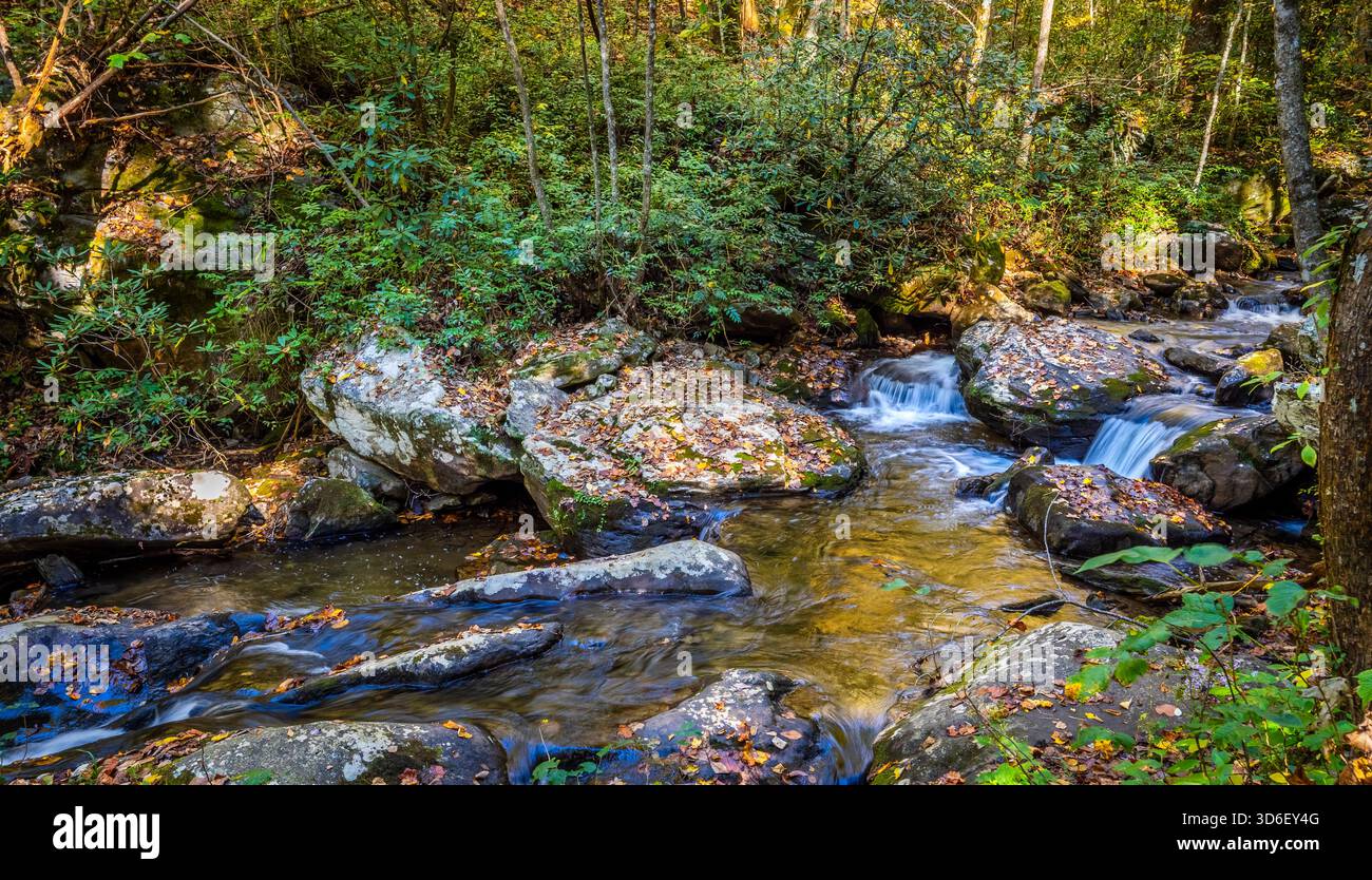Smith Creek along the Anna Ruby Falls Trail in the  Chattahoochee-Oconee National Forest in the northeast mountains of Georgia near Helen Georgia USA Stock Photo