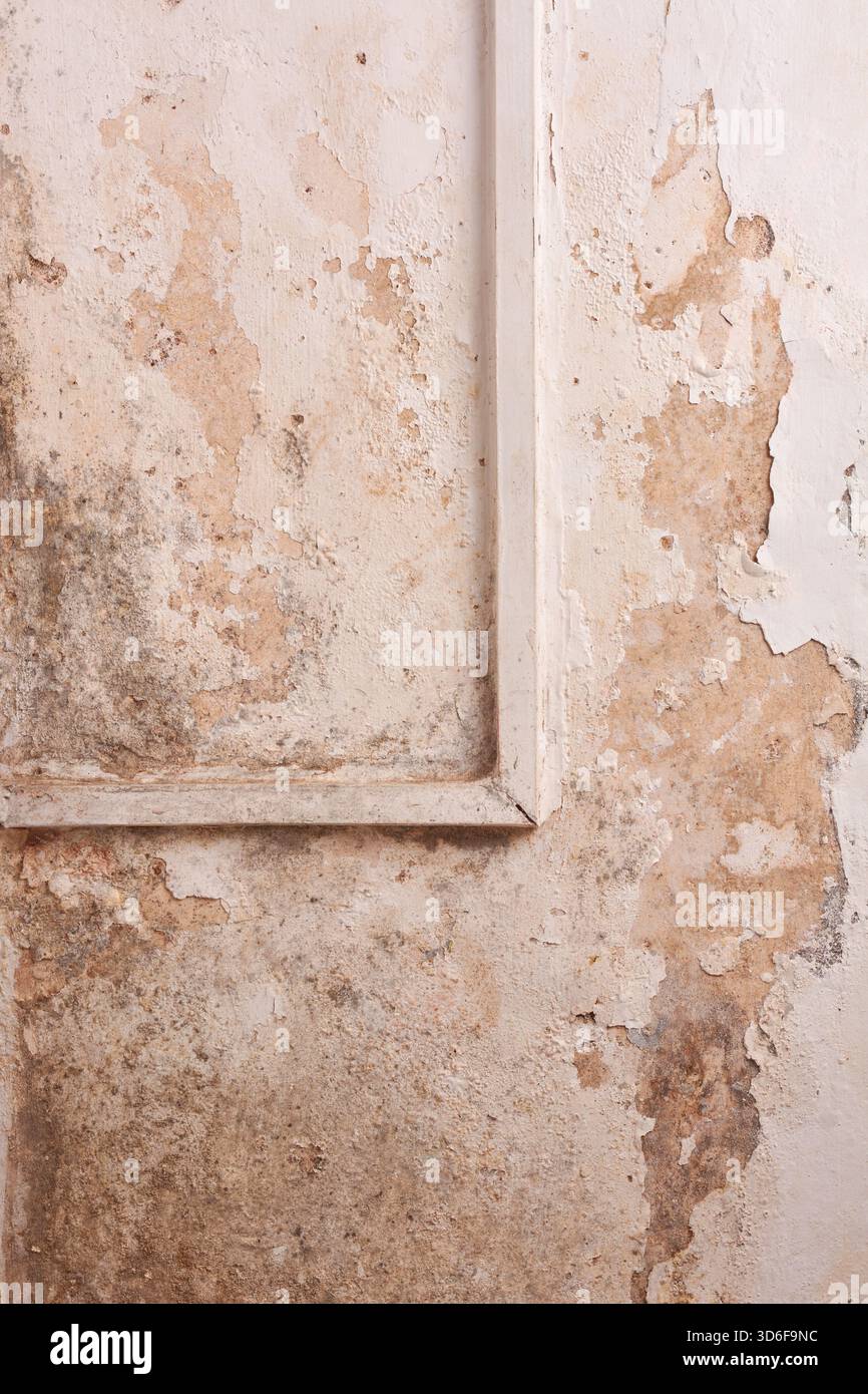 close-up of peeling paint on old wall, damaged plaster with reddish-brown stains, worn architectural texture, background of decay and water damage Stock Photo