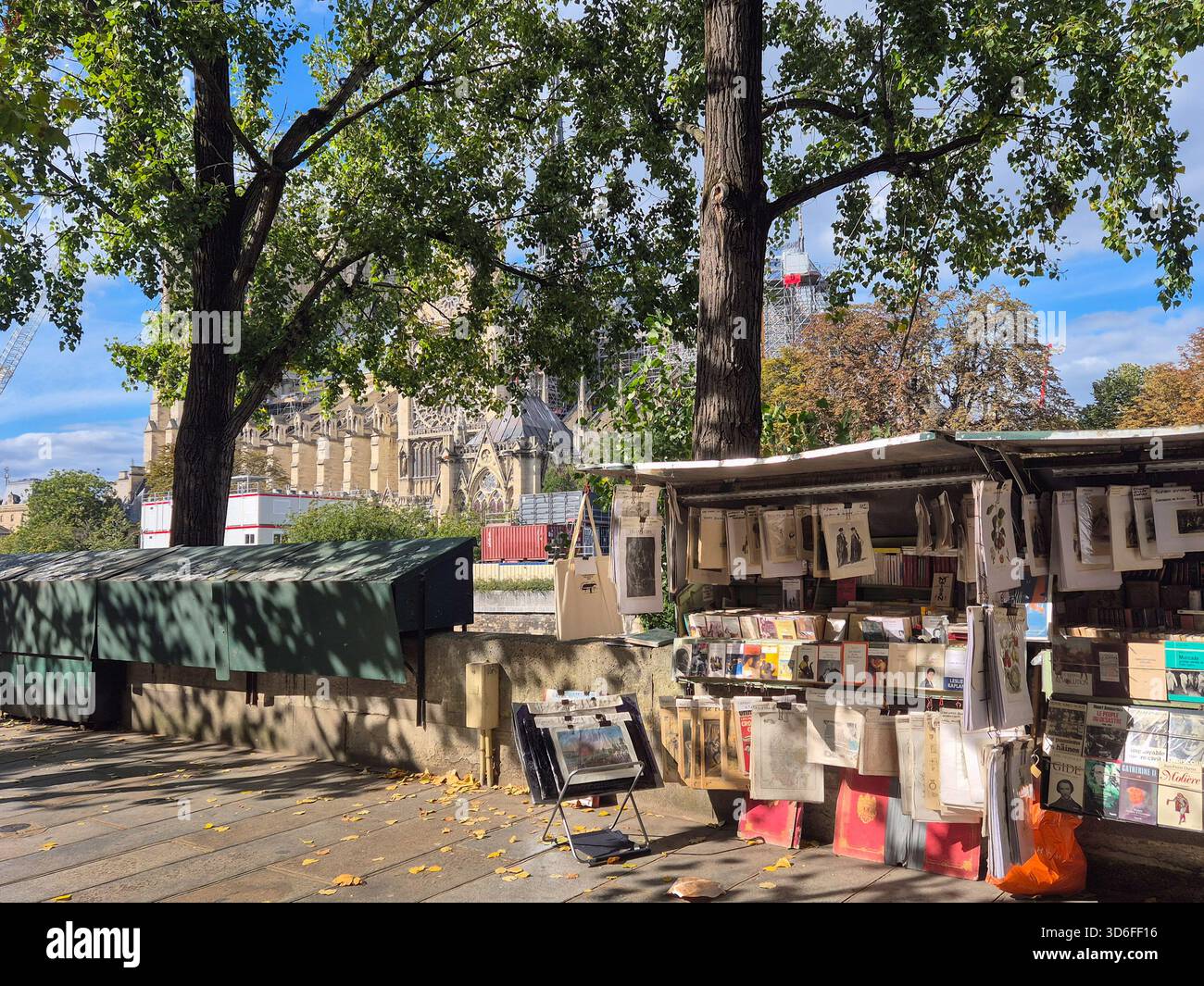Bouquiniste (meaning second hand bookseller) on a quay of Paris, Notre Dame in the background, France Stock Photo