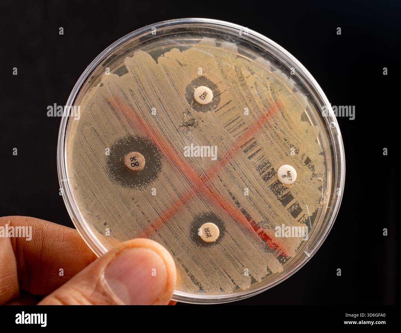 Antibiotic resistance hi-res stock photography and images - Alamy