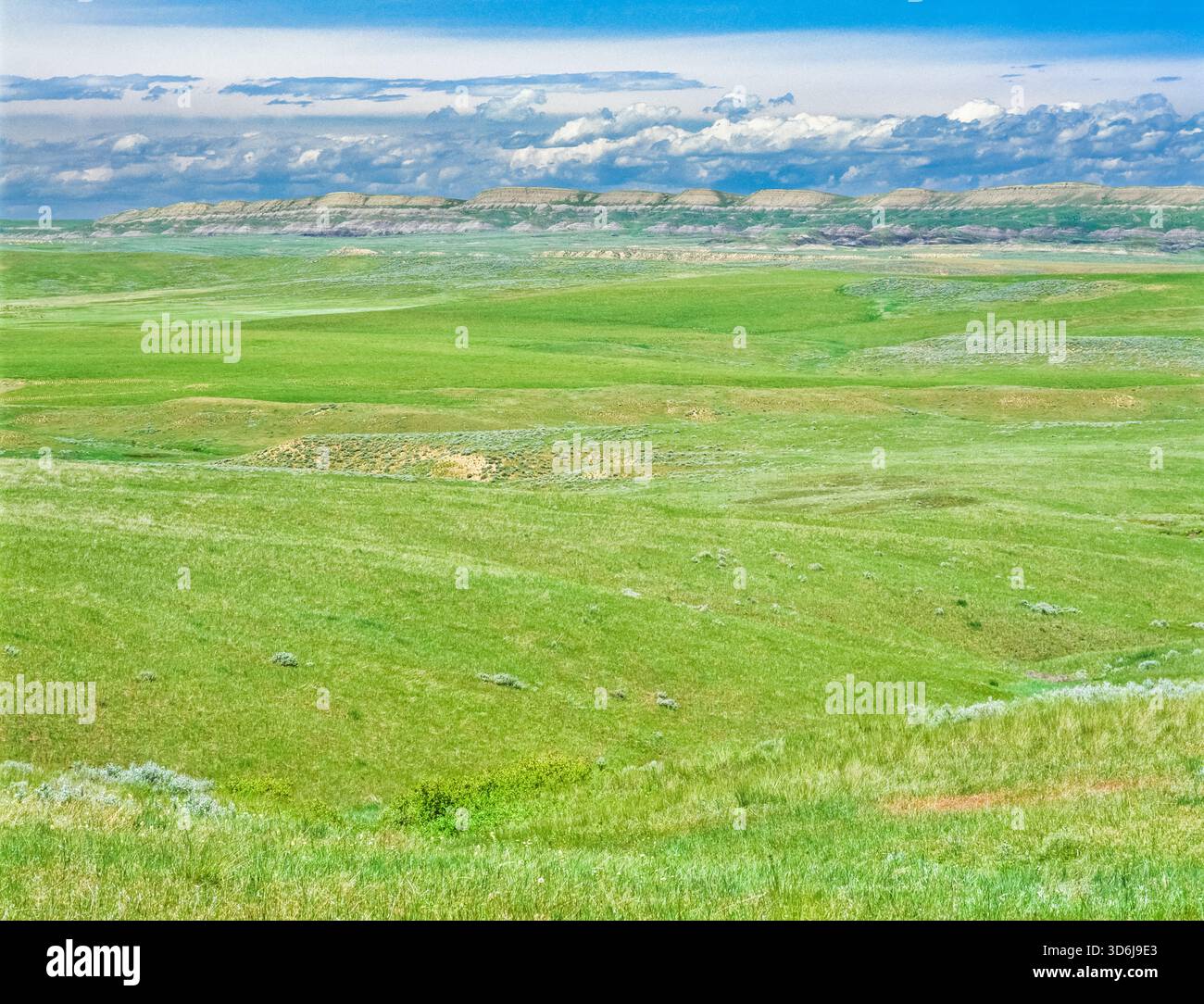Crow indian reservation hi-res stock photography and images - Alamy