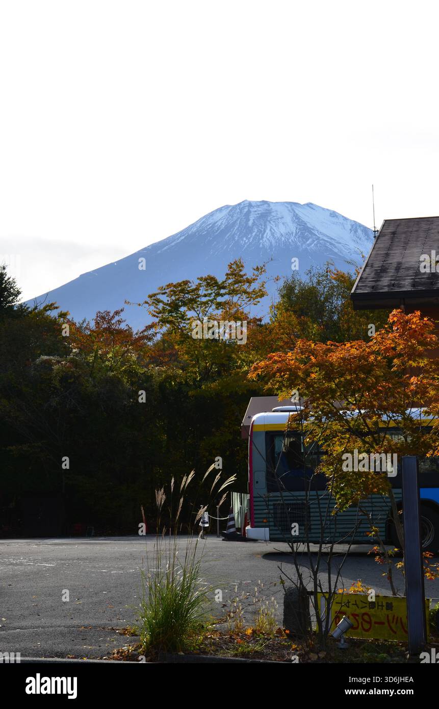 Mt. Fuji in Autumn Stock Photo