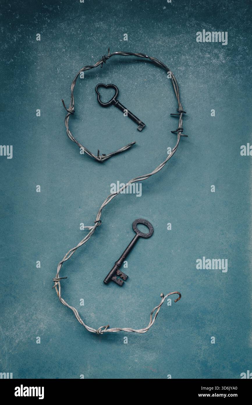 Old keys in barbwire Stock Photo