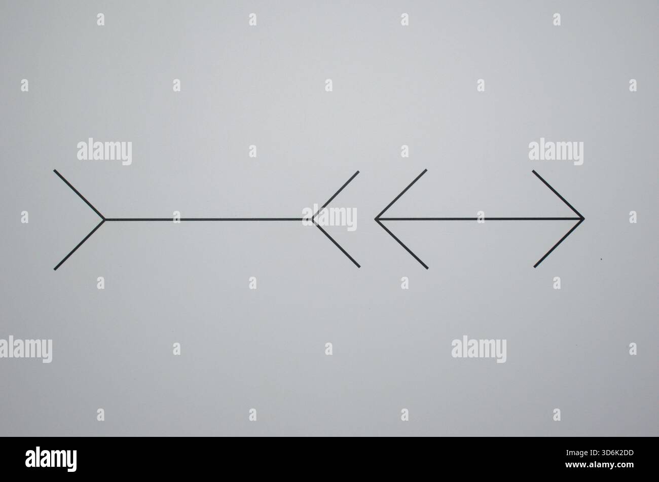 Müller-Lyer optical illusion, showing two parallel lines with arrow ...