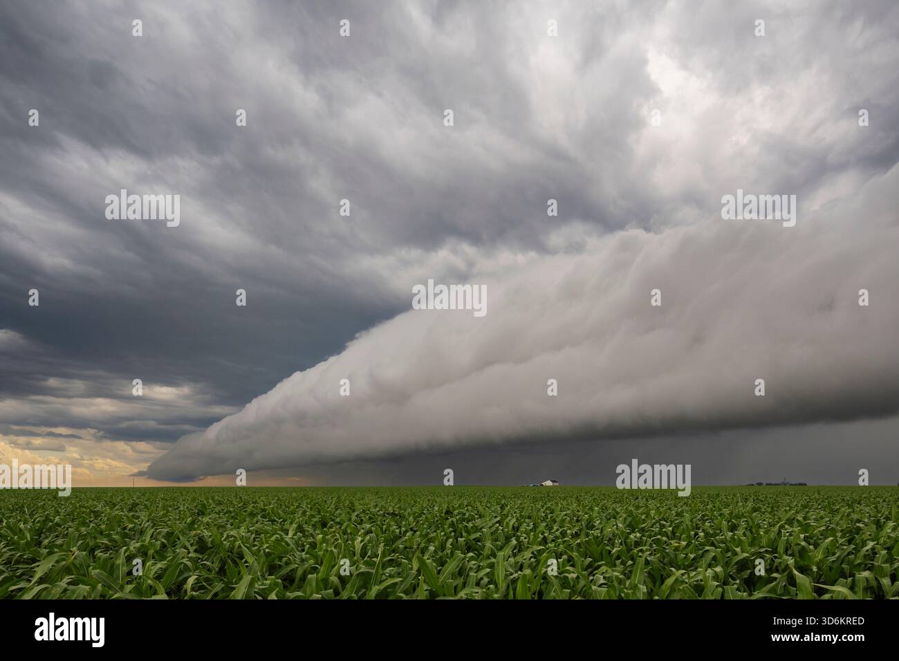 Cold Air Rises A roll cloud forms when a downdraft from a storm pushes cold air ahead ...