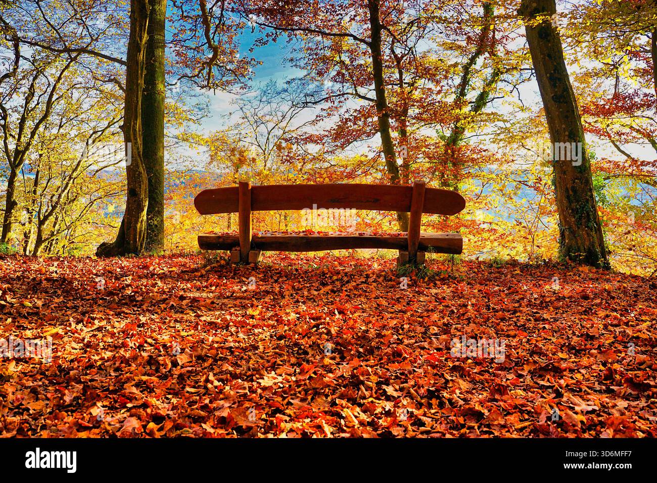 Lonely bench in autumn scenery Stock Photo