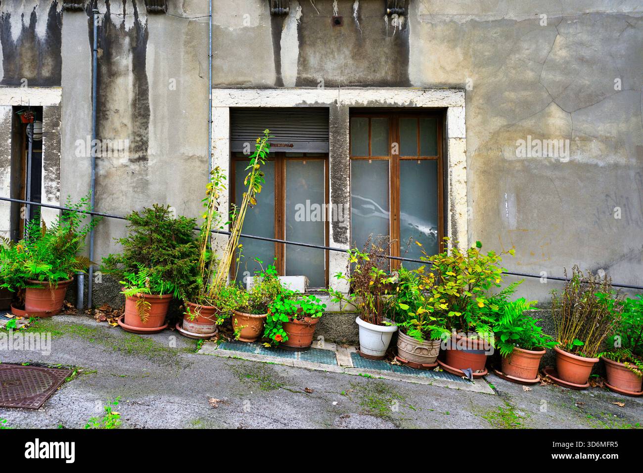 Making city greener, urban greenery in La Chaux de Fonds, Switzerland Stock Photo