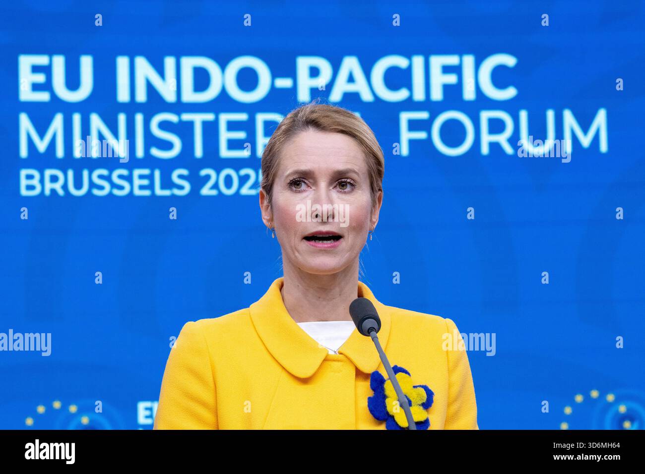 President Kaja Kallas Indo Pacific Frequently Asked Questions