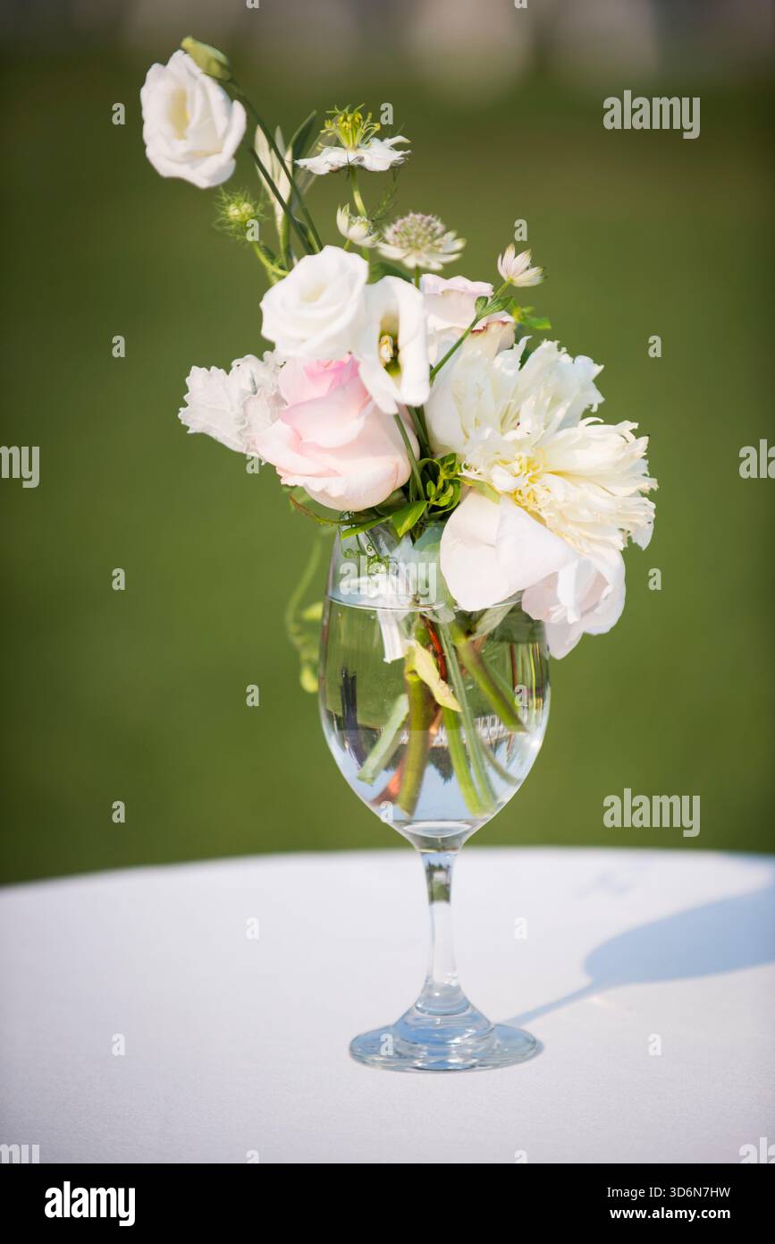 blown glass wine goblets Green Champagne & Cocktail Coupe Glass, Elegant Party Stemware