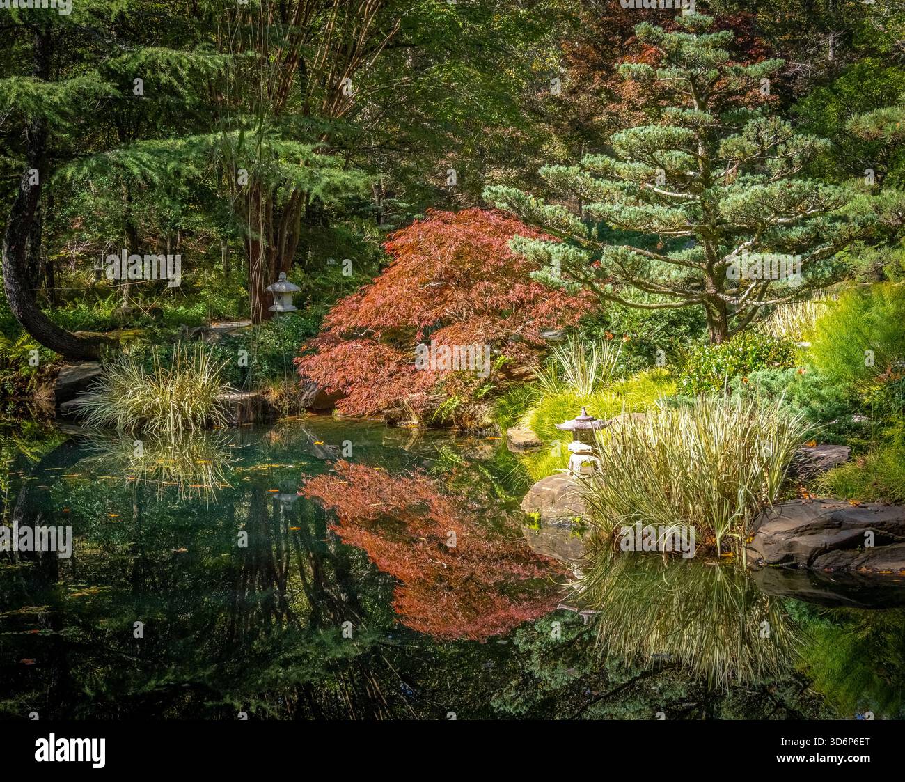 Japanese Gardens at  Gibbs Gardens a artistically landscaped private estate garden in Ball Ground Georgia USA Stock Photo