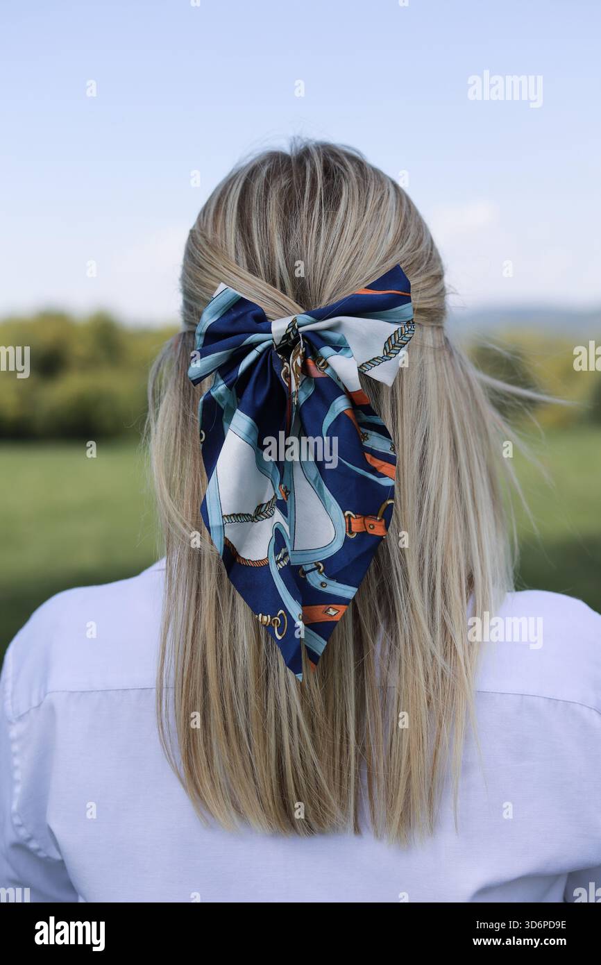 Fashion details. Hair accessory. Stock Photo