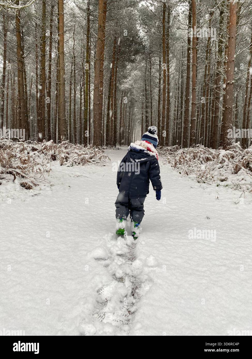 Small child walking through heavy snow in the forest England - Smartphone Captured Stock Image
