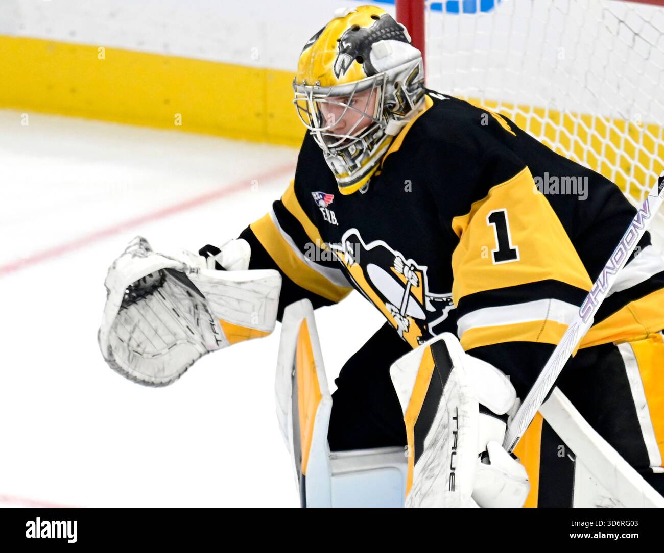 Pittsburgh Penguins goaltender Sergei Murashov (1) takes over the role ...