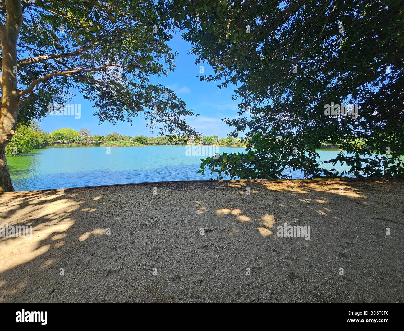 Blue water, green trees, perfect peace. Stock Photo