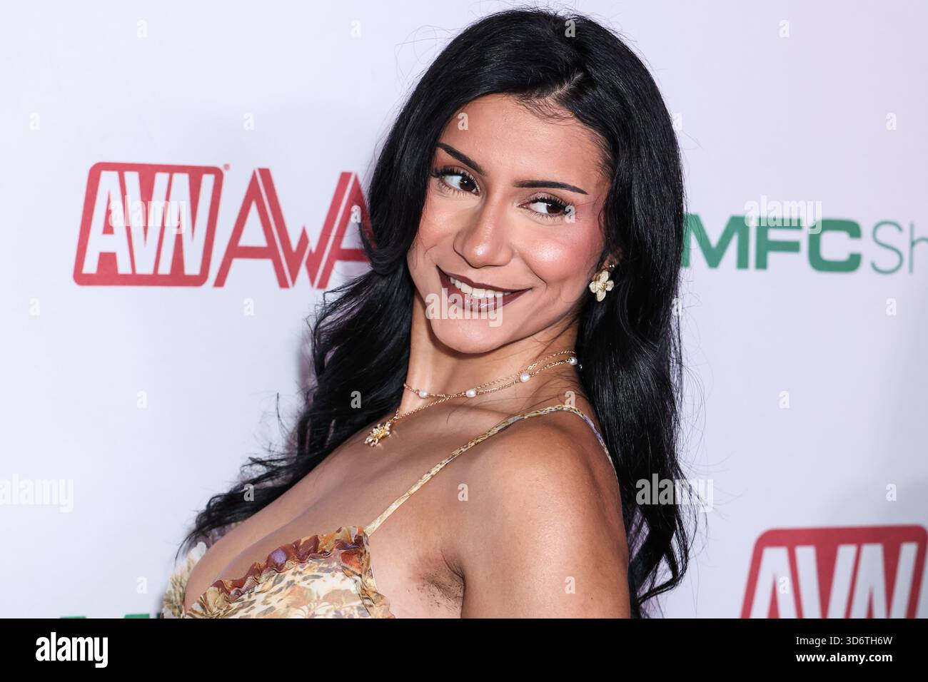 2026 avn awards nominations party hi-res stock photography and images