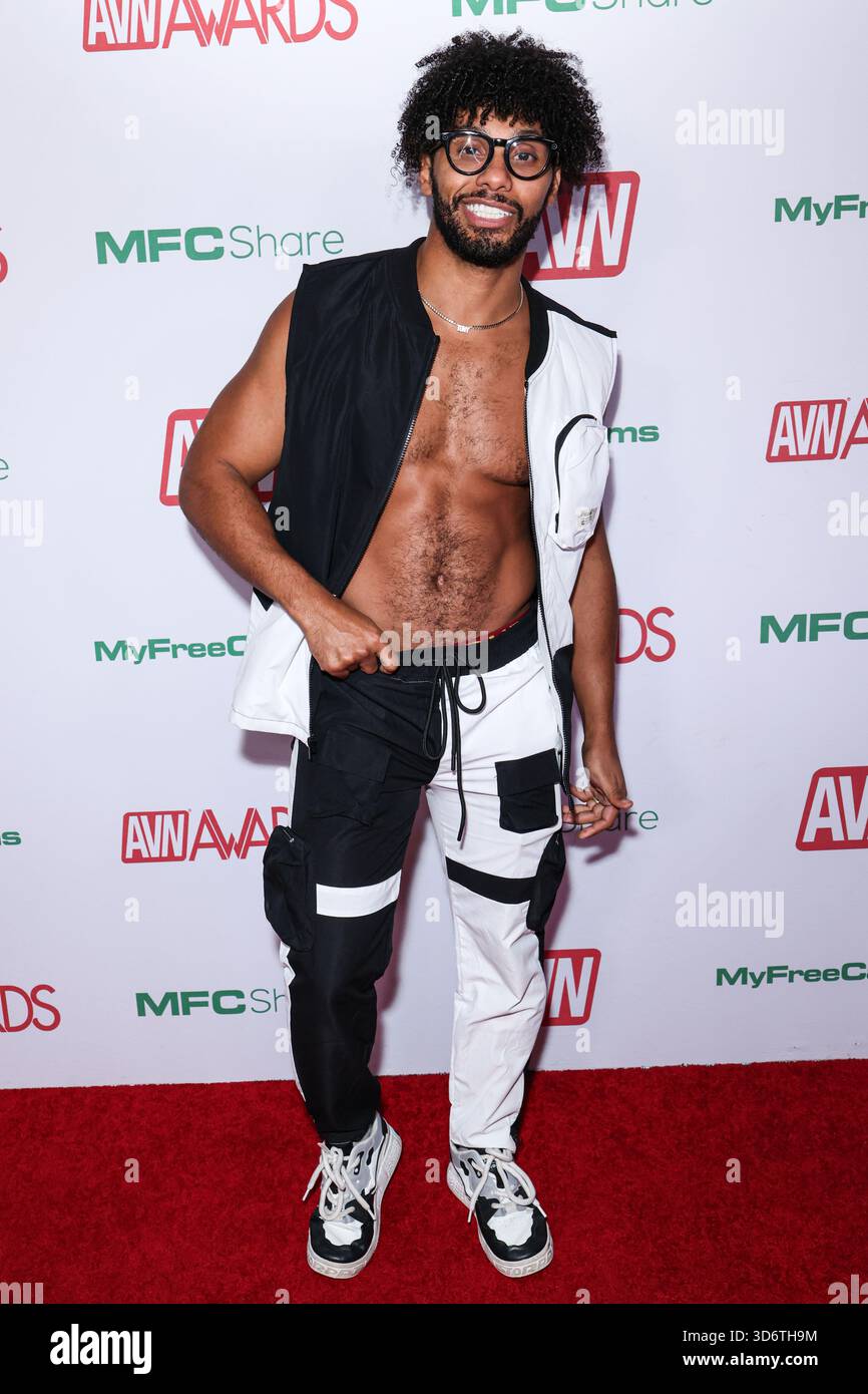 HOLLYWOOD, LOS ANGELES, CALIFORNIA, USA - NOVEMBER 20: Tony Genius ...