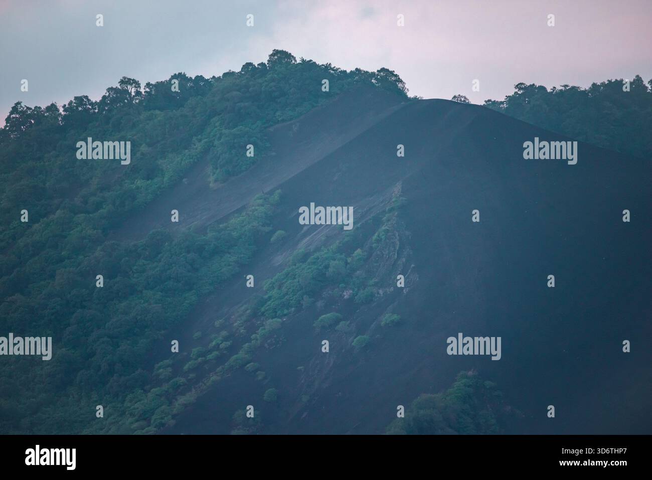 Sharp Ridge of Black Volcanic Ash Slope Meeting Lush Green Tropical ...
