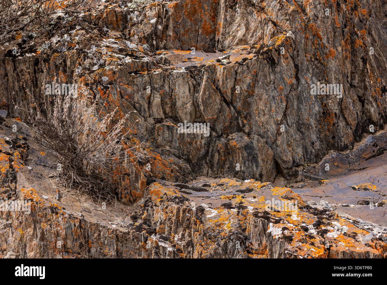 Rugged rock formations with orange lichen and dry plants Stock Photo ...