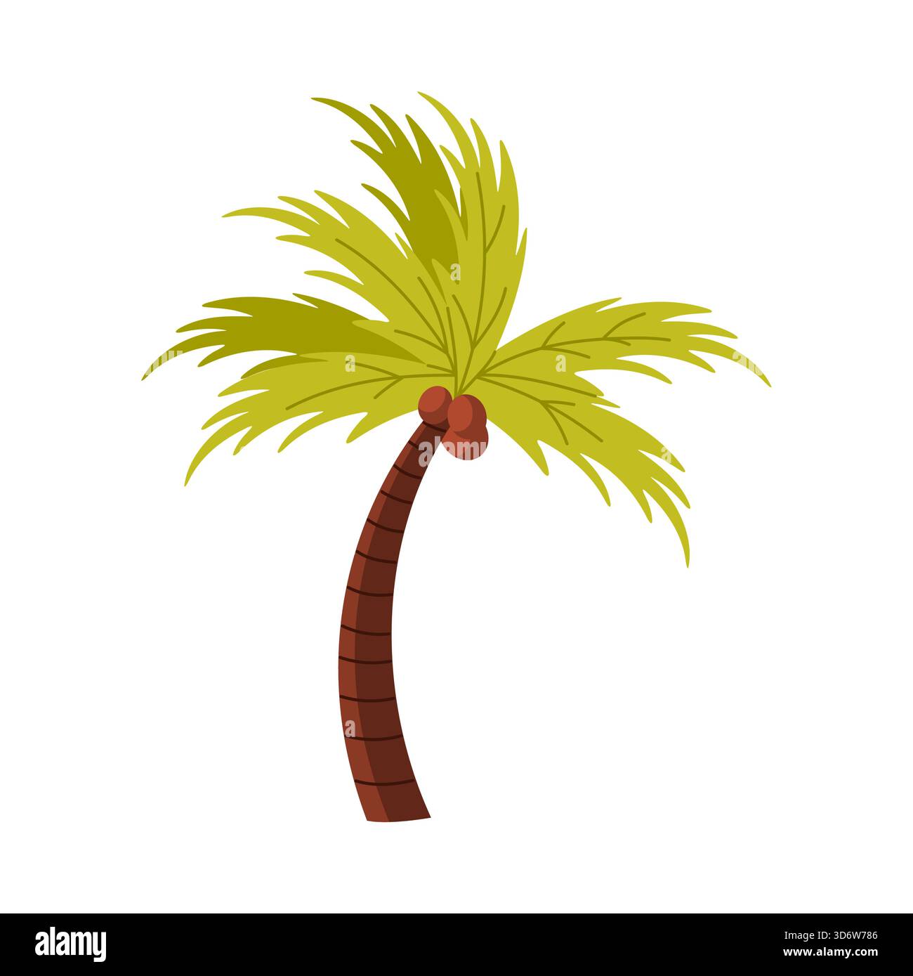 Tropical Brazil palm tree with coconuts on white background, perfect for summer themes, isolated vector illustration Stock Vector